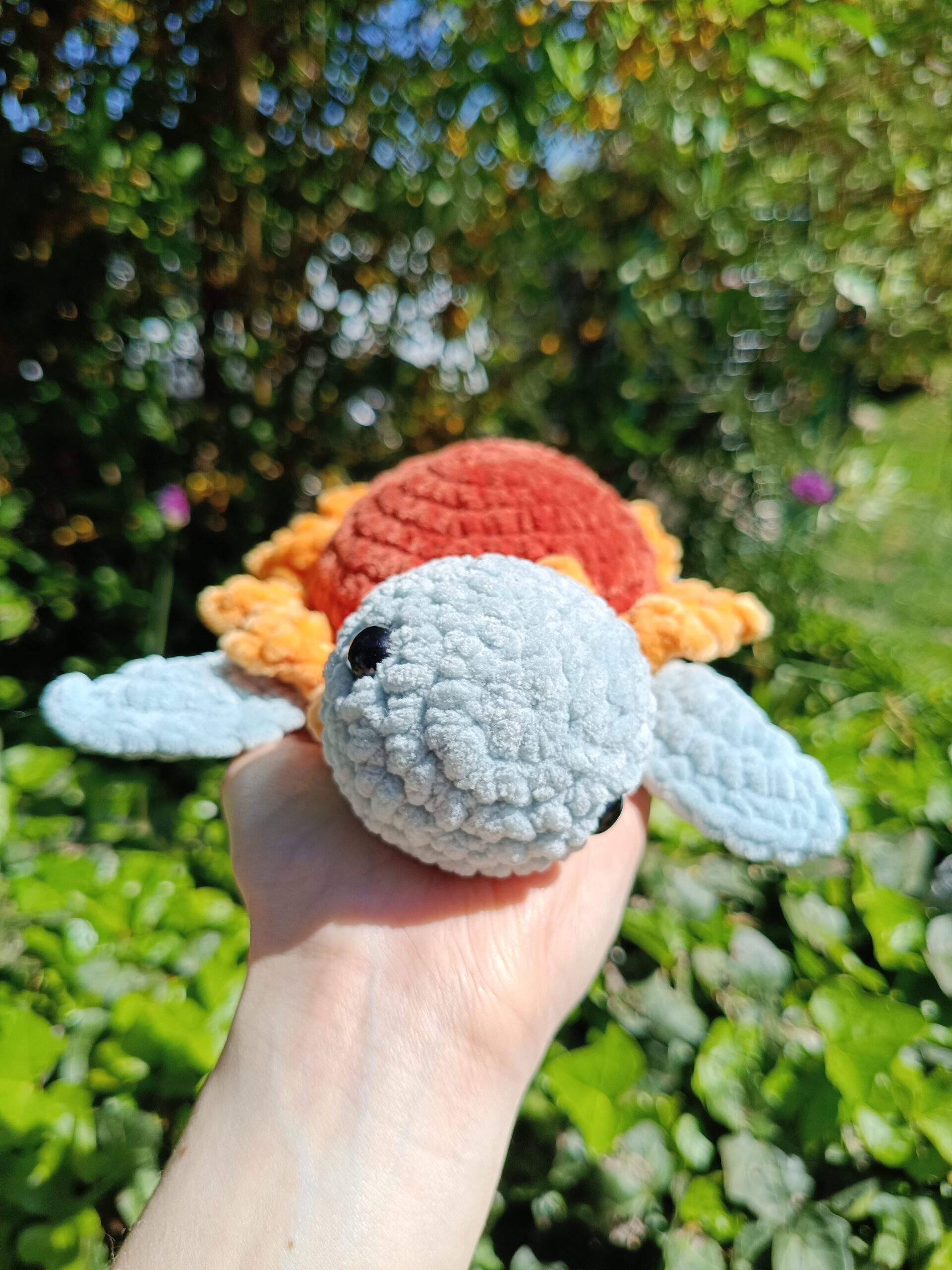 Sunflower turtle – Image 2