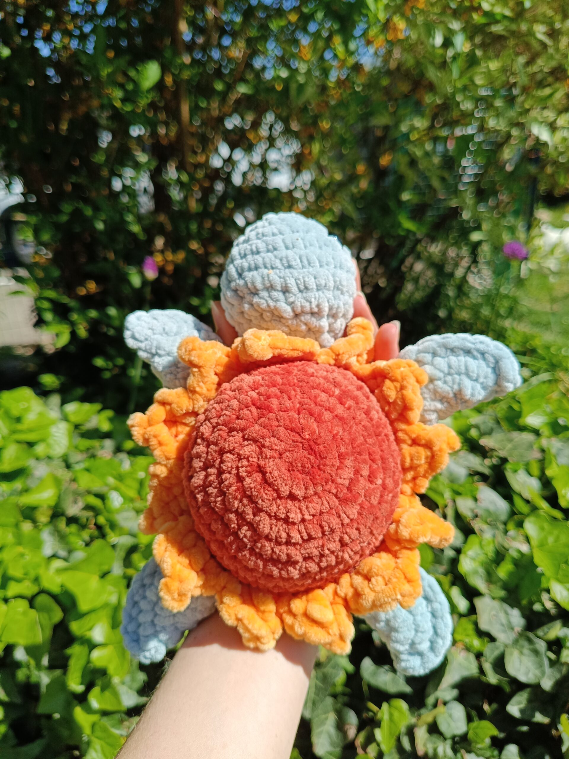 Sunflower turtle – Image 6