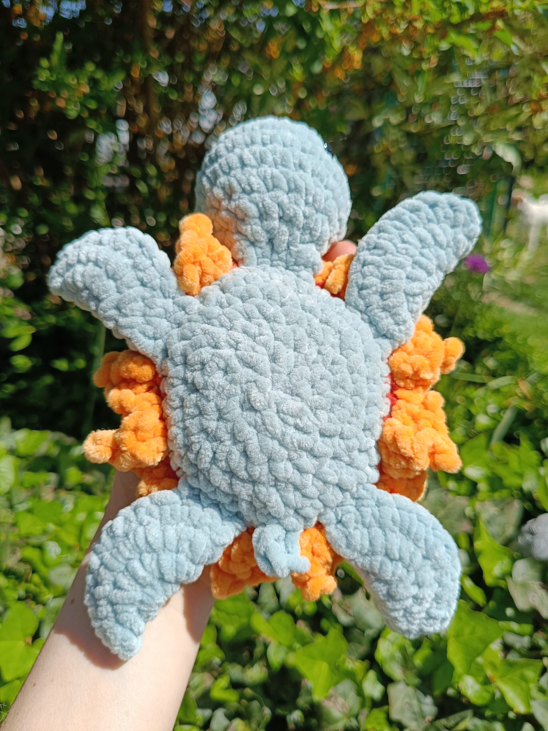 Sunflower turtle – Image 7